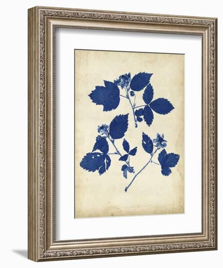 Indigo Leaf Study VI-Vision Studio-Framed Art Print