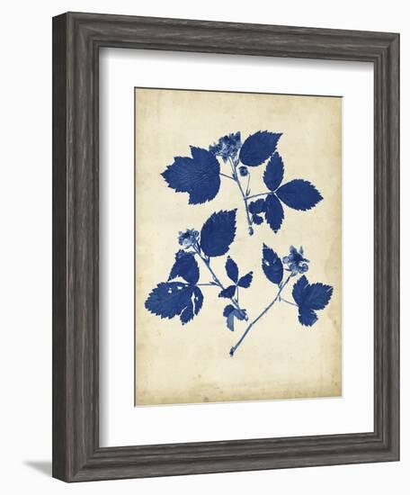 Indigo Leaf Study VI-Vision Studio-Framed Art Print