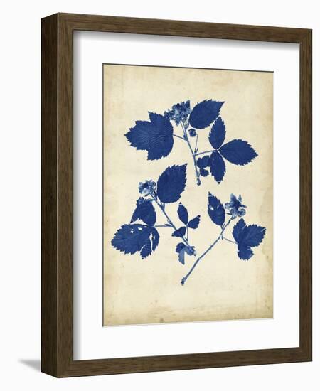 Indigo Leaf Study VI-Vision Studio-Framed Art Print