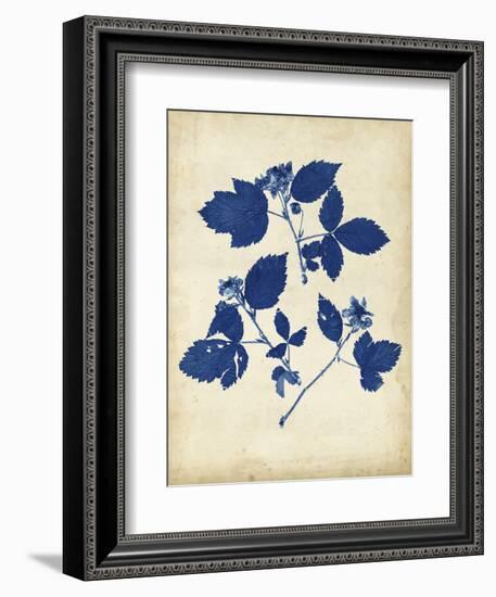 Indigo Leaf Study VI-Vision Studio-Framed Art Print