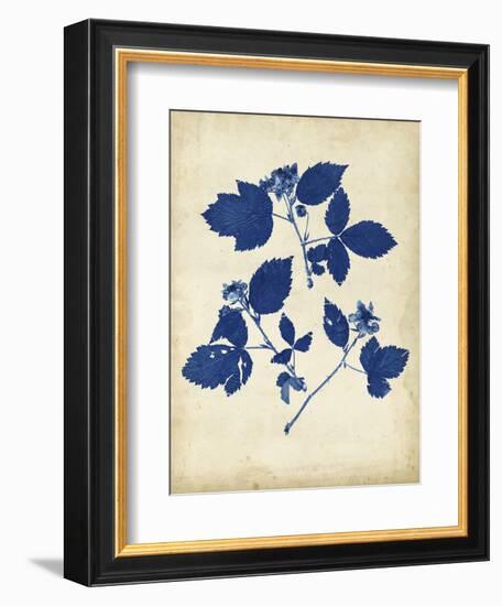 Indigo Leaf Study VI-Vision Studio-Framed Art Print