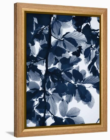 Indigo Leaves-Lexie Greer-Framed Premier Image Canvas