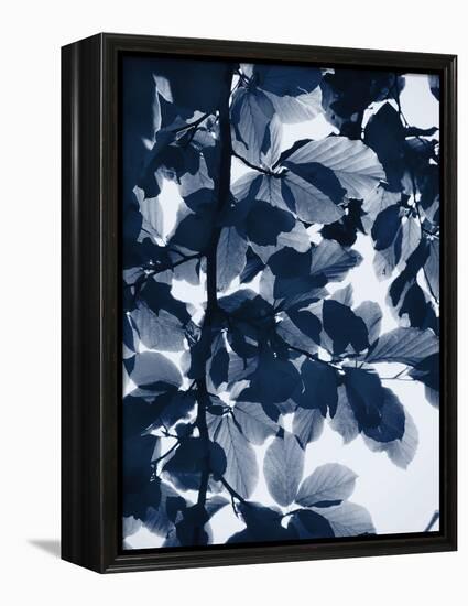 Indigo Leaves-Lexie Greer-Framed Premier Image Canvas