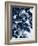 Indigo Leaves-Lexie Greer-Framed Photographic Print