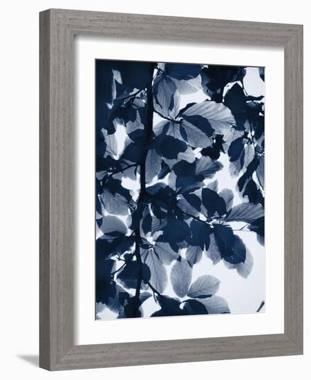 Indigo Leaves-Lexie Greer-Framed Photographic Print