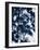 Indigo Leaves-Lexie Greer-Framed Photographic Print