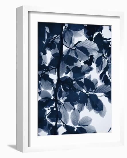 Indigo Leaves-Lexie Greer-Framed Photographic Print