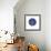 Indigo Lemon-Aimee Wilson-Framed Art Print displayed on a wall