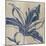 Indigo Lily-Chariklia Zarris-Mounted Art Print