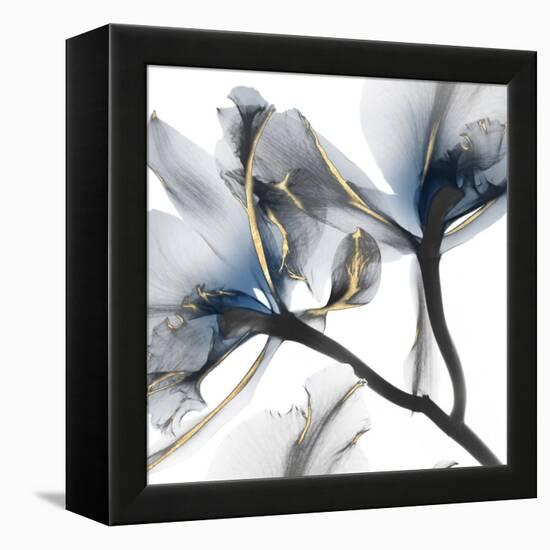 Indigo Luster Cyclamen 2-Albert Koetsier-Framed Stretched Canvas