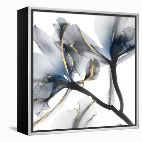 Indigo Luster Cyclamen 2-Albert Koetsier-Framed Stretched Canvas