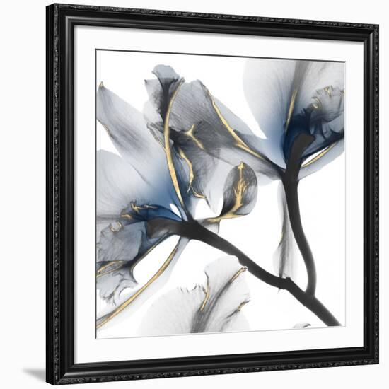 Indigo Luster Cyclamen 2-Albert Koetsier-Framed Photo