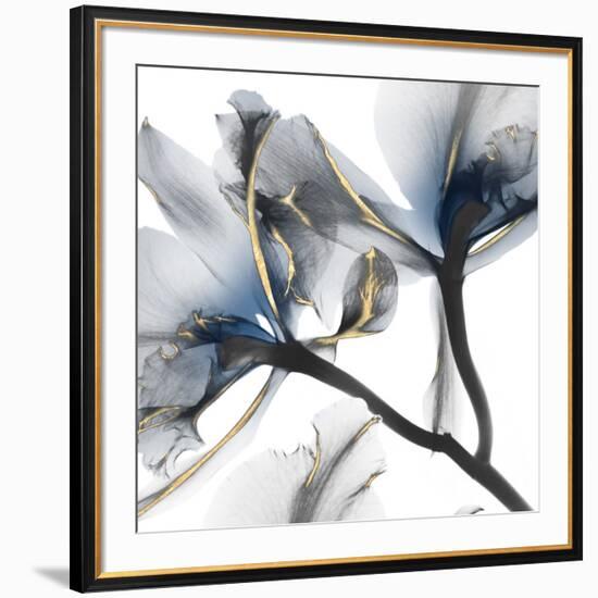 Indigo Luster Cyclamen 2-Albert Koetsier-Framed Photo