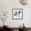 Indigo Luster Cyclamen 2-Albert Koetsier-Framed Photo displayed on a wall