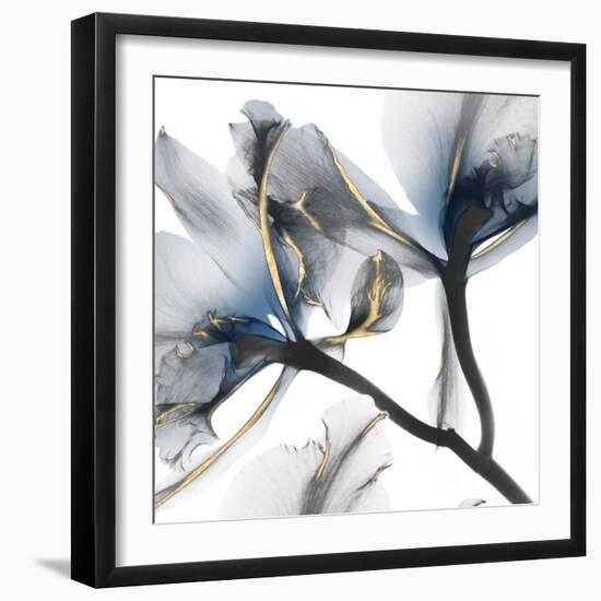 Indigo Luster Cyclamen 2-Albert Koetsier-Framed Photo