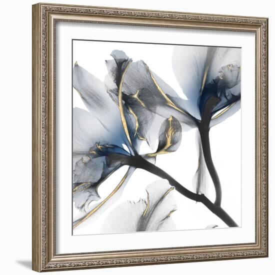 Indigo Luster Cyclamen 2-Albert Koetsier-Framed Photographic Print