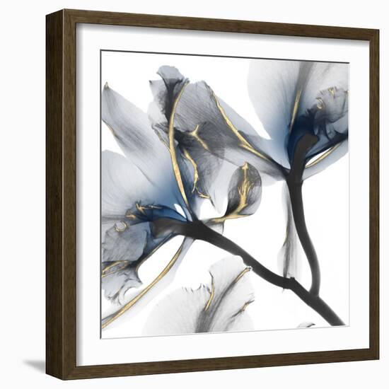 Indigo Luster Cyclamen 2-Albert Koetsier-Framed Photographic Print