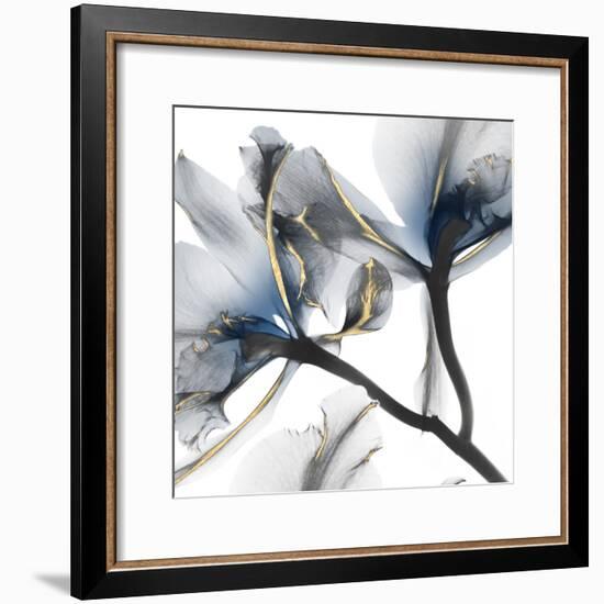 Indigo Luster Cyclamen 2-Albert Koetsier-Framed Photographic Print