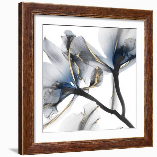 Indigo Luster Cyclamen 2-Albert Koetsier-Framed Photographic Print