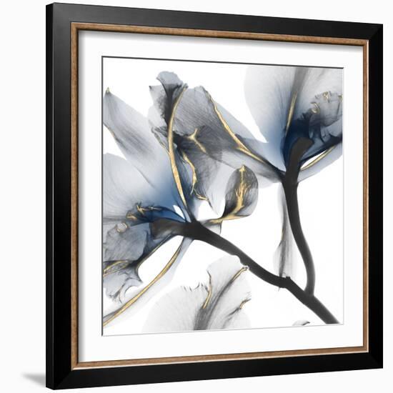 Indigo Luster Cyclamen 2-Albert Koetsier-Framed Photographic Print