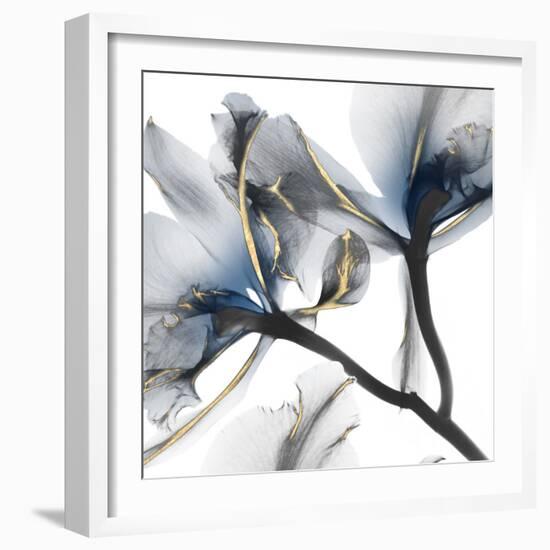 Indigo Luster Cyclamen 2-Albert Koetsier-Framed Photographic Print