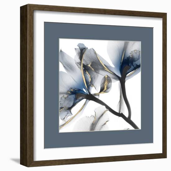 Indigo Luster Cyclamen Border 2-Albert Koetsier-Framed Photographic Print