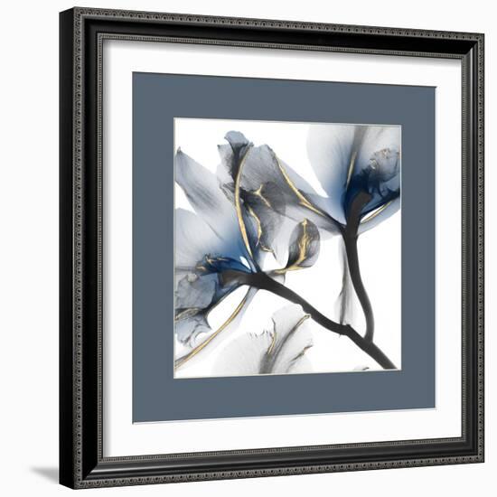 Indigo Luster Cyclamen Border 2-Albert Koetsier-Framed Photographic Print