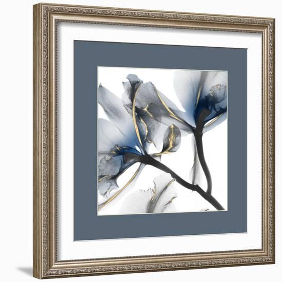 Indigo Luster Cyclamen Border 2-Albert Koetsier-Framed Photo