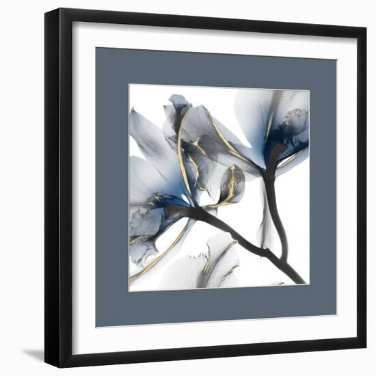 Indigo Luster Cyclamen Border 2-Albert Koetsier-Framed Photo