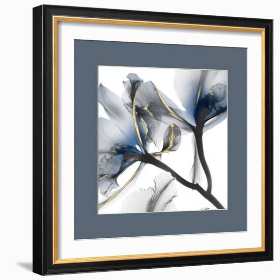 Indigo Luster Cyclamen Border 2-Albert Koetsier-Framed Photo