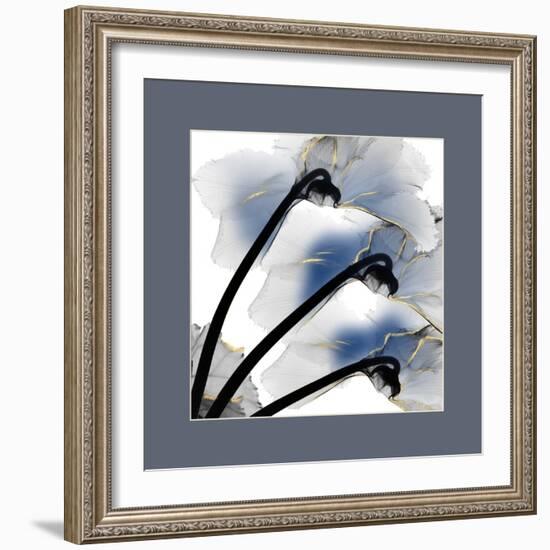 Indigo Luster Cyclamen Border-Albert Koetsier-Framed Photo