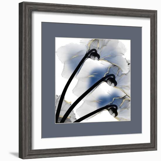 Indigo Luster Cyclamen Border-Albert Koetsier-Framed Photo