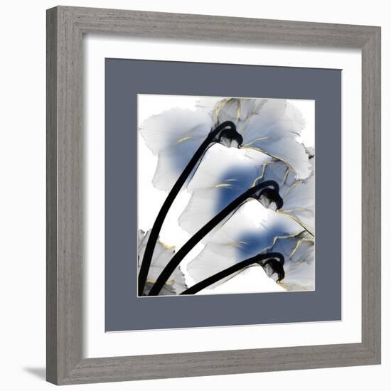 Indigo Luster Cyclamen Border-Albert Koetsier-Framed Photo