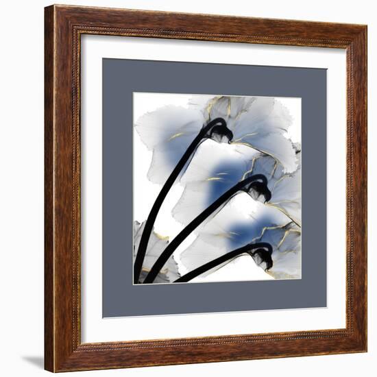 Indigo Luster Cyclamen Border-Albert Koetsier-Framed Photo