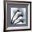 Indigo Luster Cyclamen Border-Albert Koetsier-Framed Photo