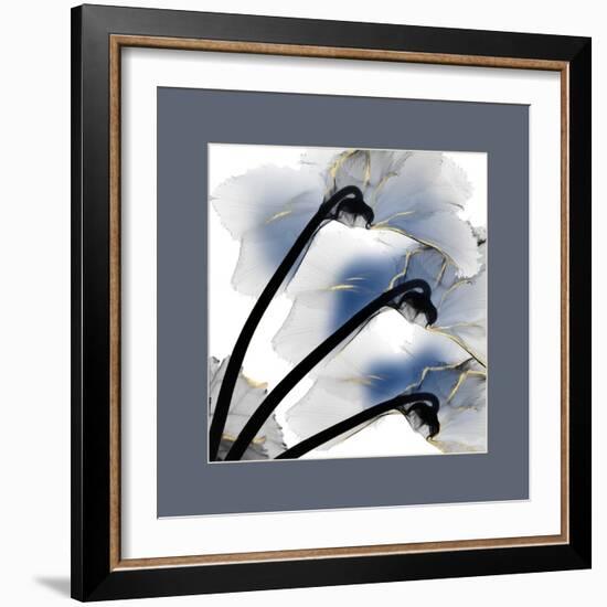 Indigo Luster Cyclamen Border-Albert Koetsier-Framed Photo