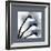 Indigo Luster Cyclamen Border-Albert Koetsier-Framed Photo