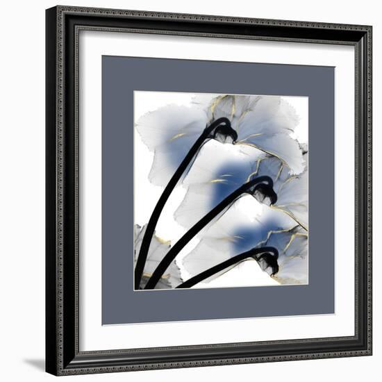 Indigo Luster Cyclamen Border-Albert Koetsier-Framed Photo