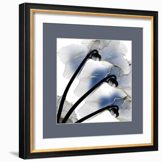 Indigo Luster Cyclamen Border-Albert Koetsier-Framed Photo