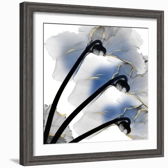 Indigo Luster Cyclamen-Albert Koetsier-Framed Photo