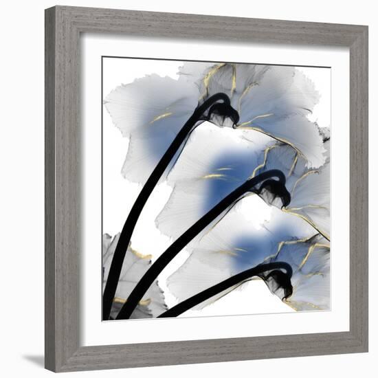 Indigo Luster Cyclamen-Albert Koetsier-Framed Photo