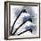 Indigo Luster Cyclamen-Albert Koetsier-Framed Photo