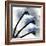 Indigo Luster Cyclamen-Albert Koetsier-Framed Photo