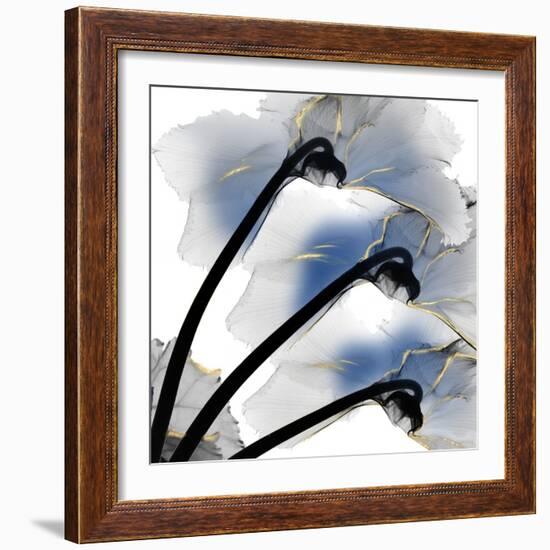 Indigo Luster Cyclamen-Albert Koetsier-Framed Photo