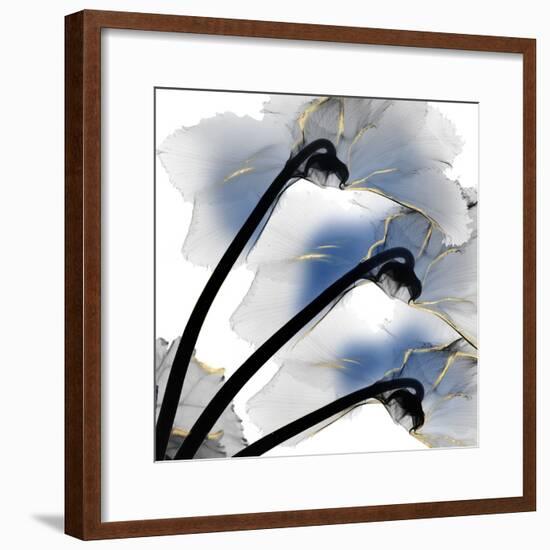 Indigo Luster Cyclamen-Albert Koetsier-Framed Photo