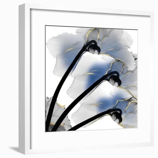 Indigo Luster Cyclamen-Albert Koetsier-Framed Photo