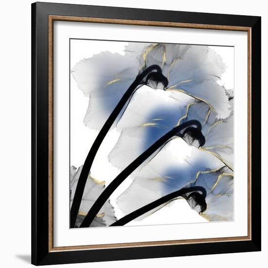 Indigo Luster Cyclamen-Albert Koetsier-Framed Photo