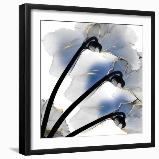 Indigo Luster Cyclamen-Albert Koetsier-Framed Photo