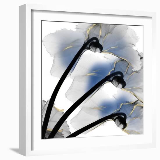 Indigo Luster Cyclamen-Albert Koetsier-Framed Photo