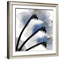 Indigo Luster Cyclamen-Albert Koetsier-Framed Photo